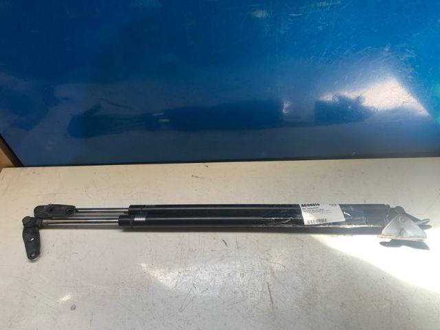 Toyota Noah/Voxy R60 2001-2007 Tailgate Struts (Set)