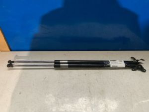 Honda Stream RN1-5 1st Gen 2001-2006 Tailgate Struts (Set)